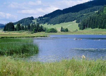 Вилла Le Tetras Ламура Экстерьер фото